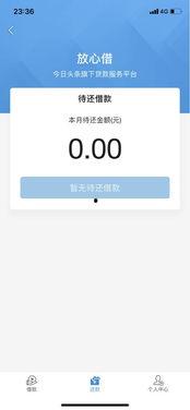 头条借款没成功,揭秘背后原因及应对策略”